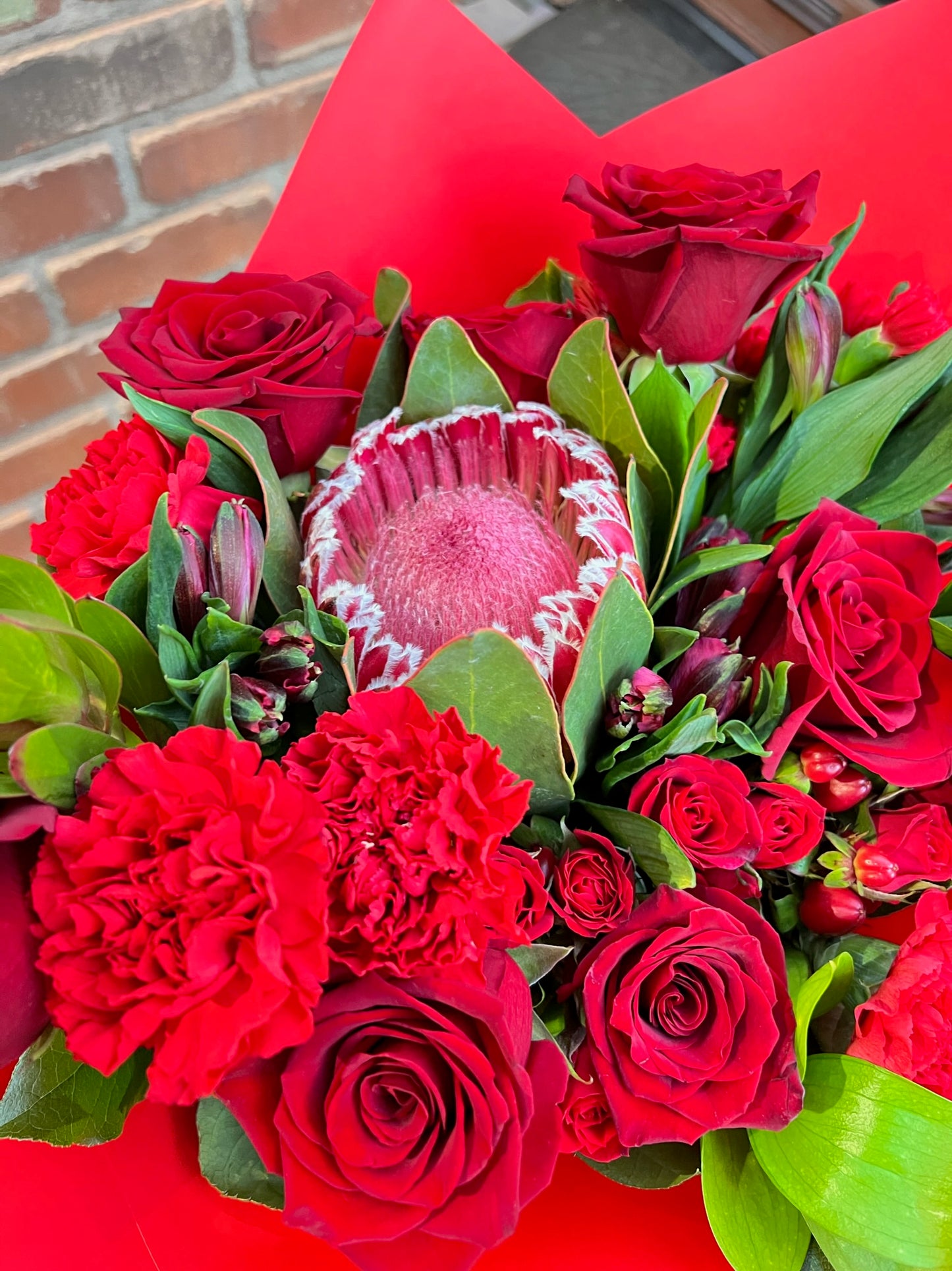 Scarlet Kiss