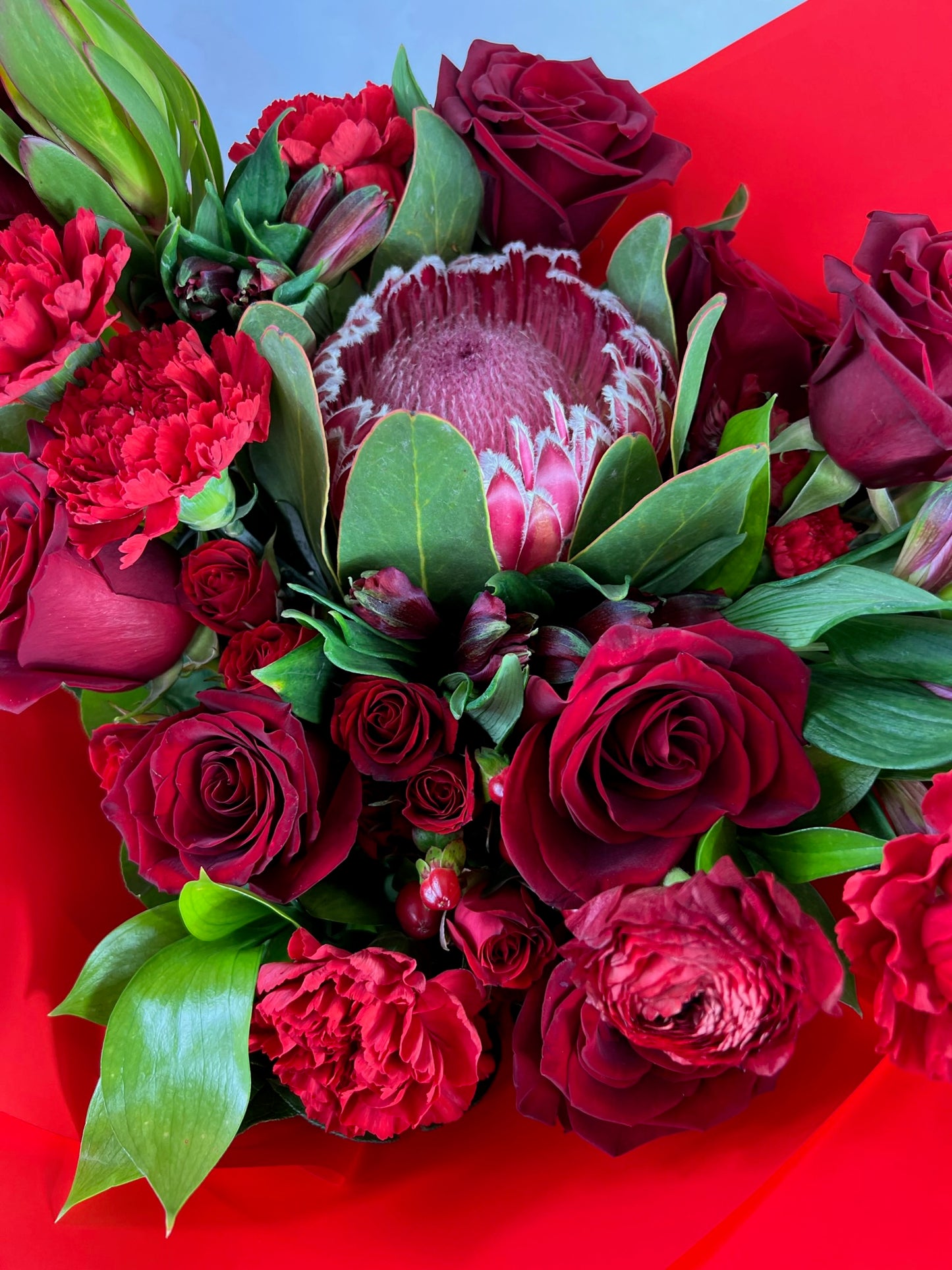 Scarlet Kiss