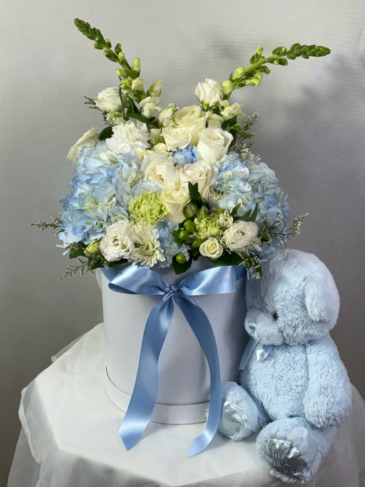 Baby Boy Box