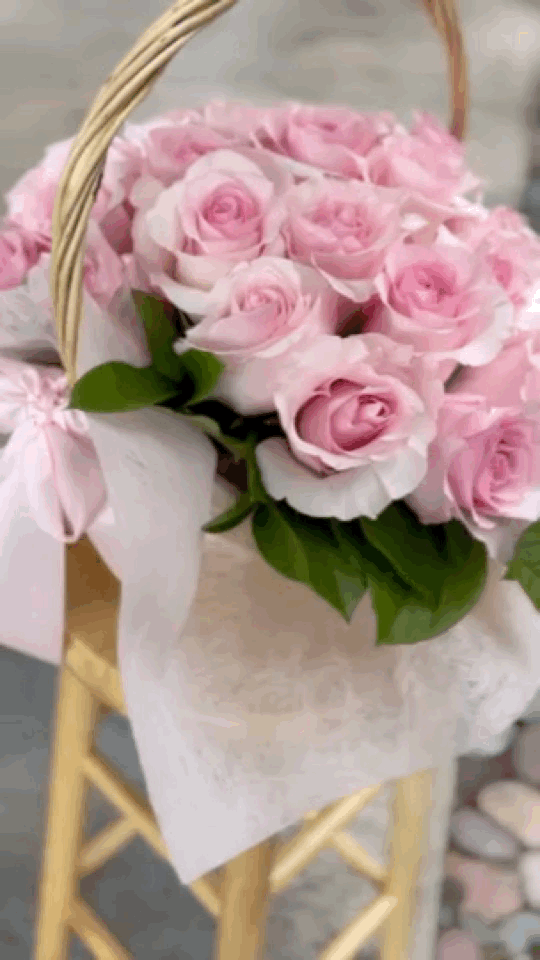 Serenade of roses