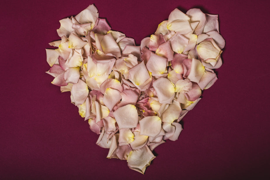 Valentine's Day