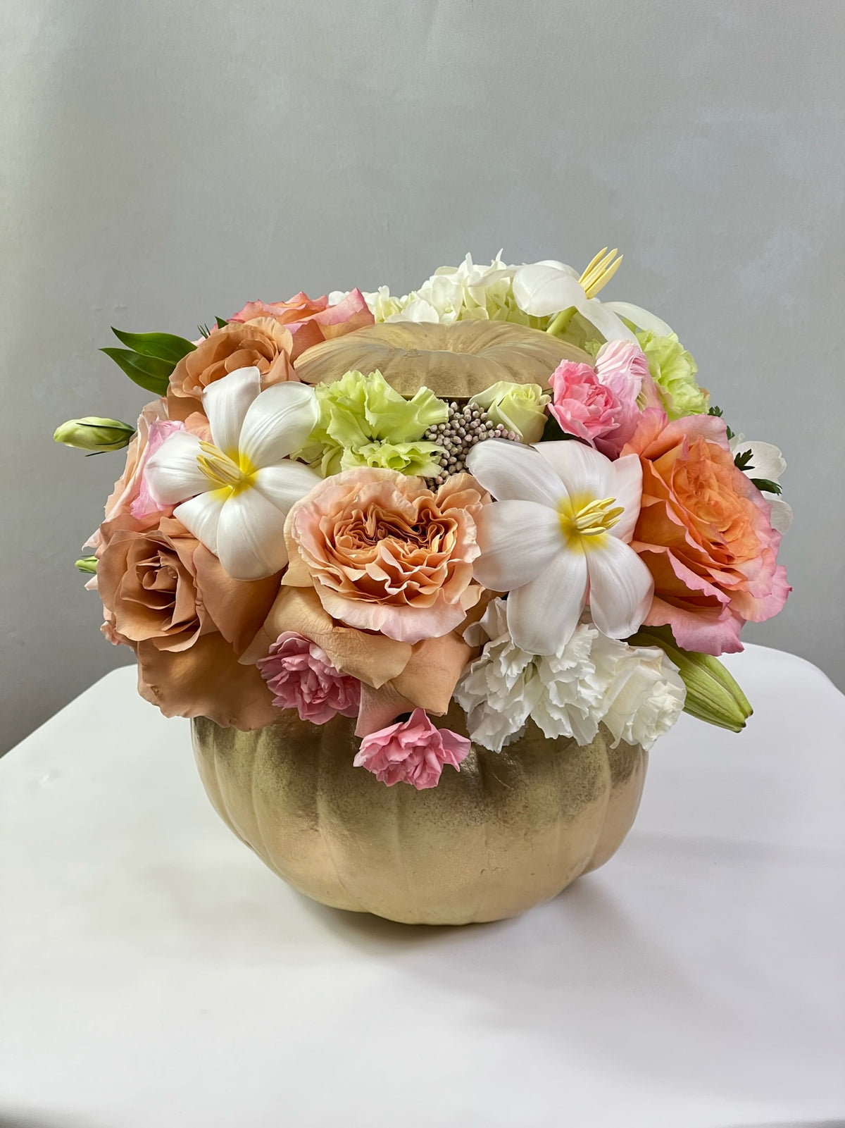 Charming Pumpkin