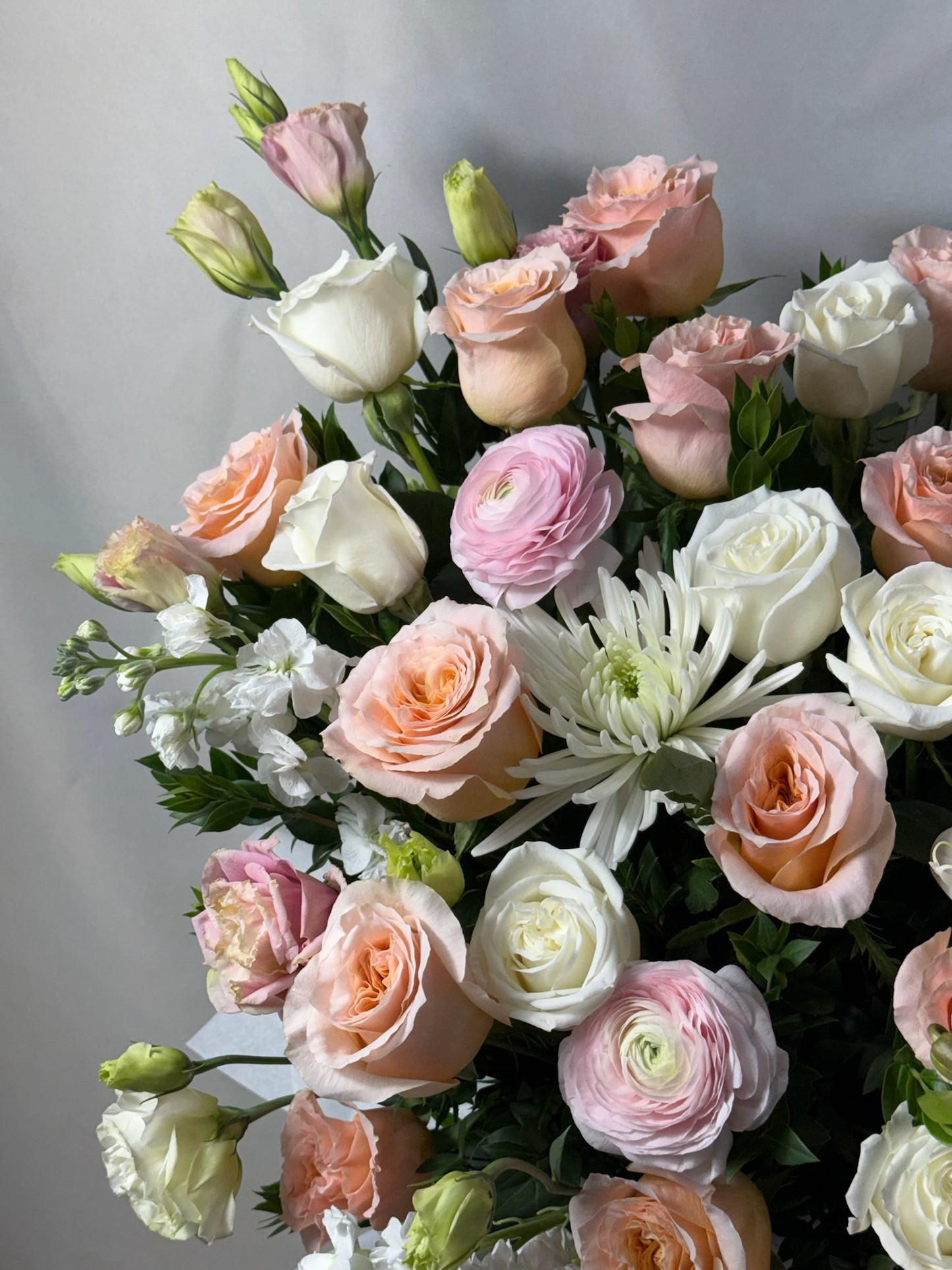 Fleur Royale