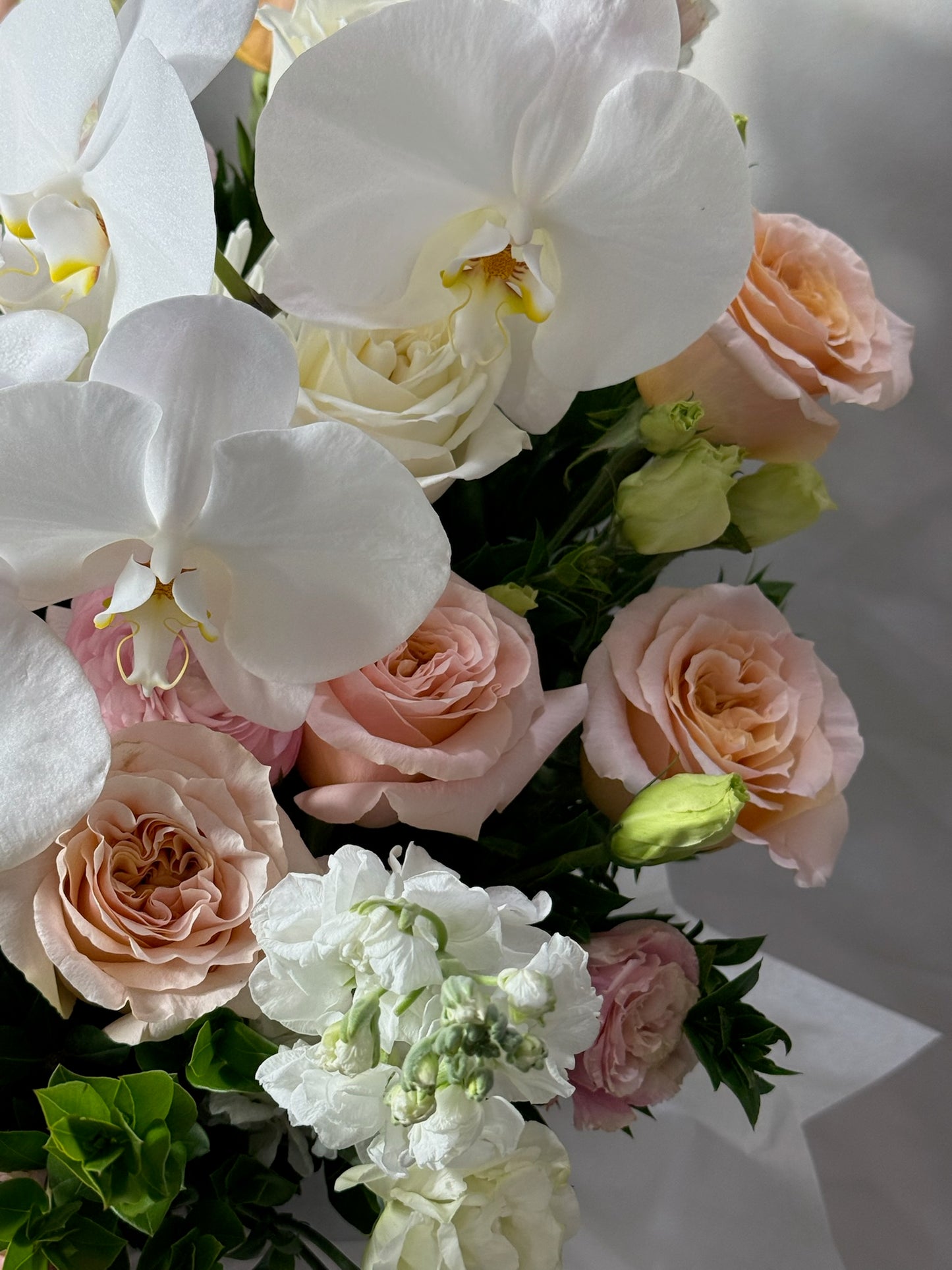 Fleur Royale