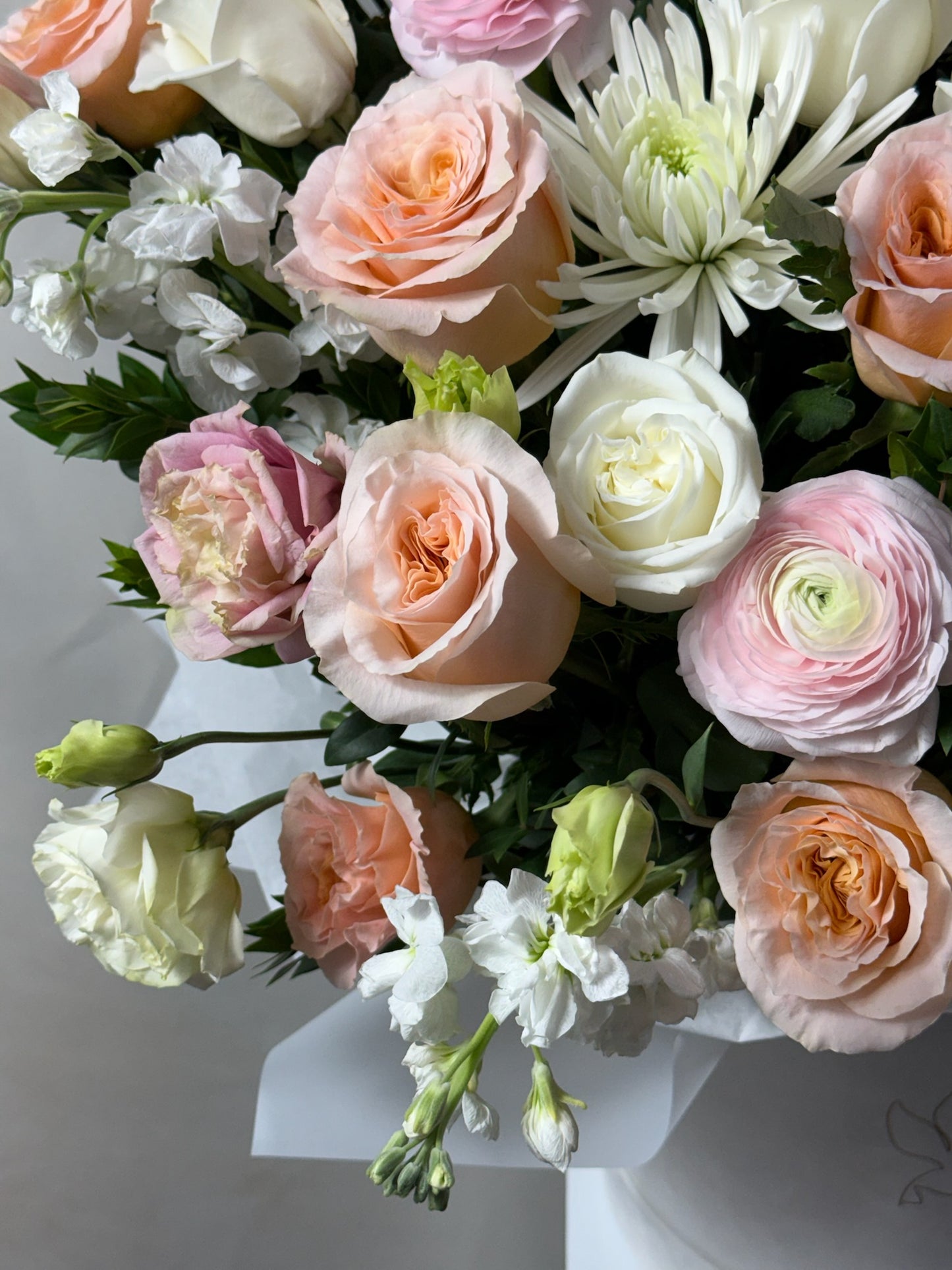 Fleur Royale