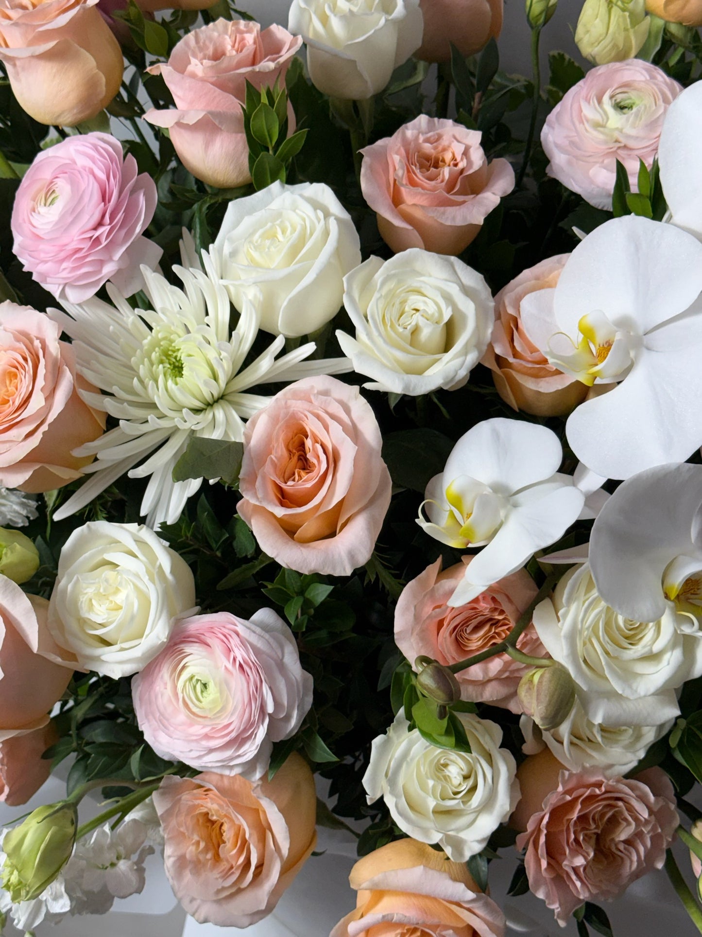 Fleur Royale
